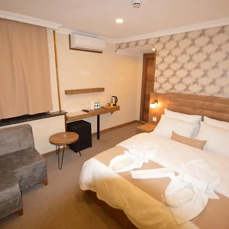 Arsisa Hotell *